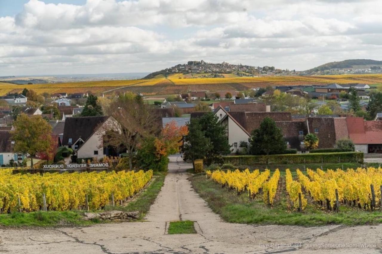"La Veranda" Gite Verdigny ภายนอก รูปภาพ