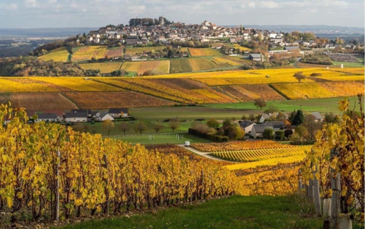 "La Veranda" Gite Verdigny ภายนอก รูปภาพ